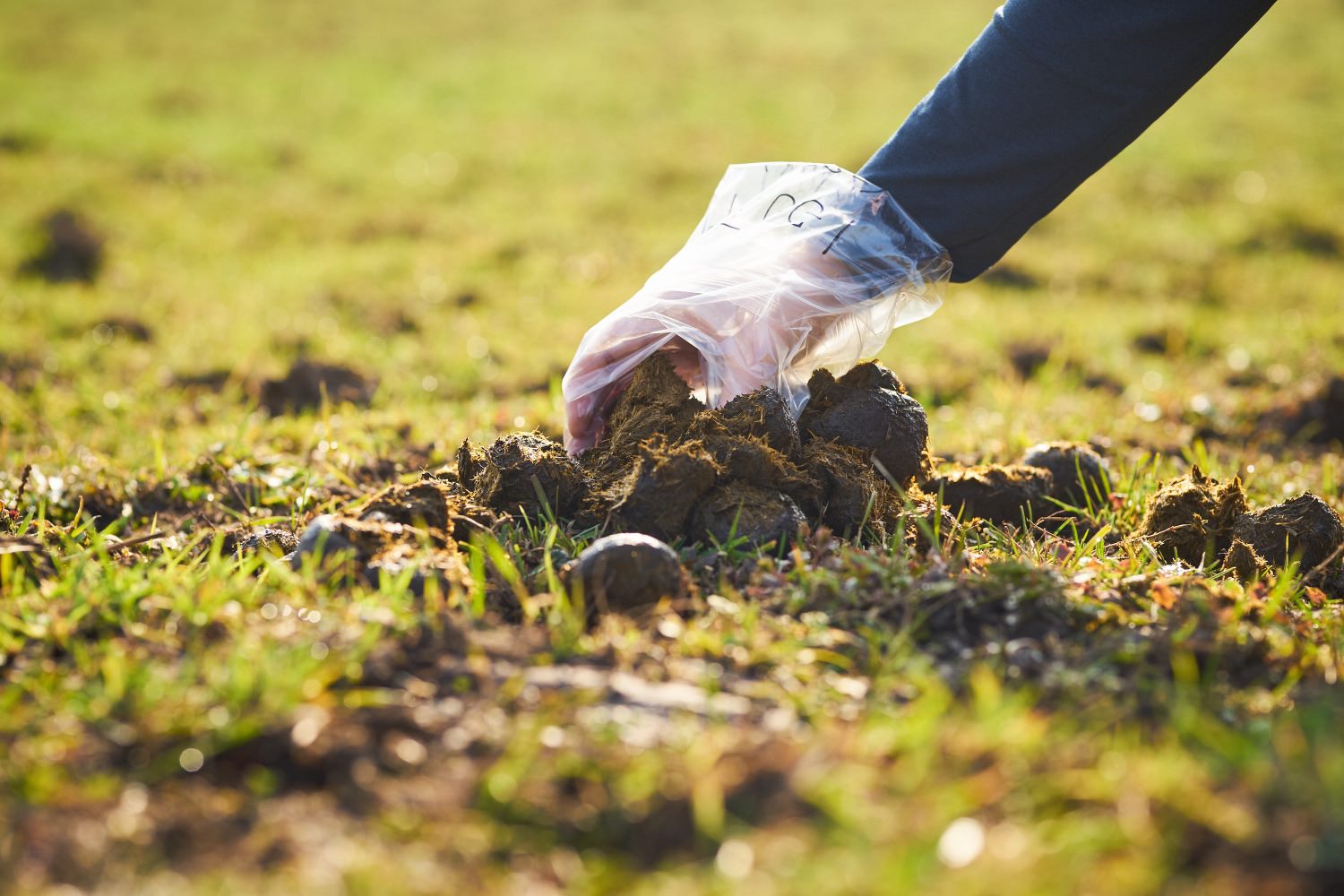 Správný odběr vzorků